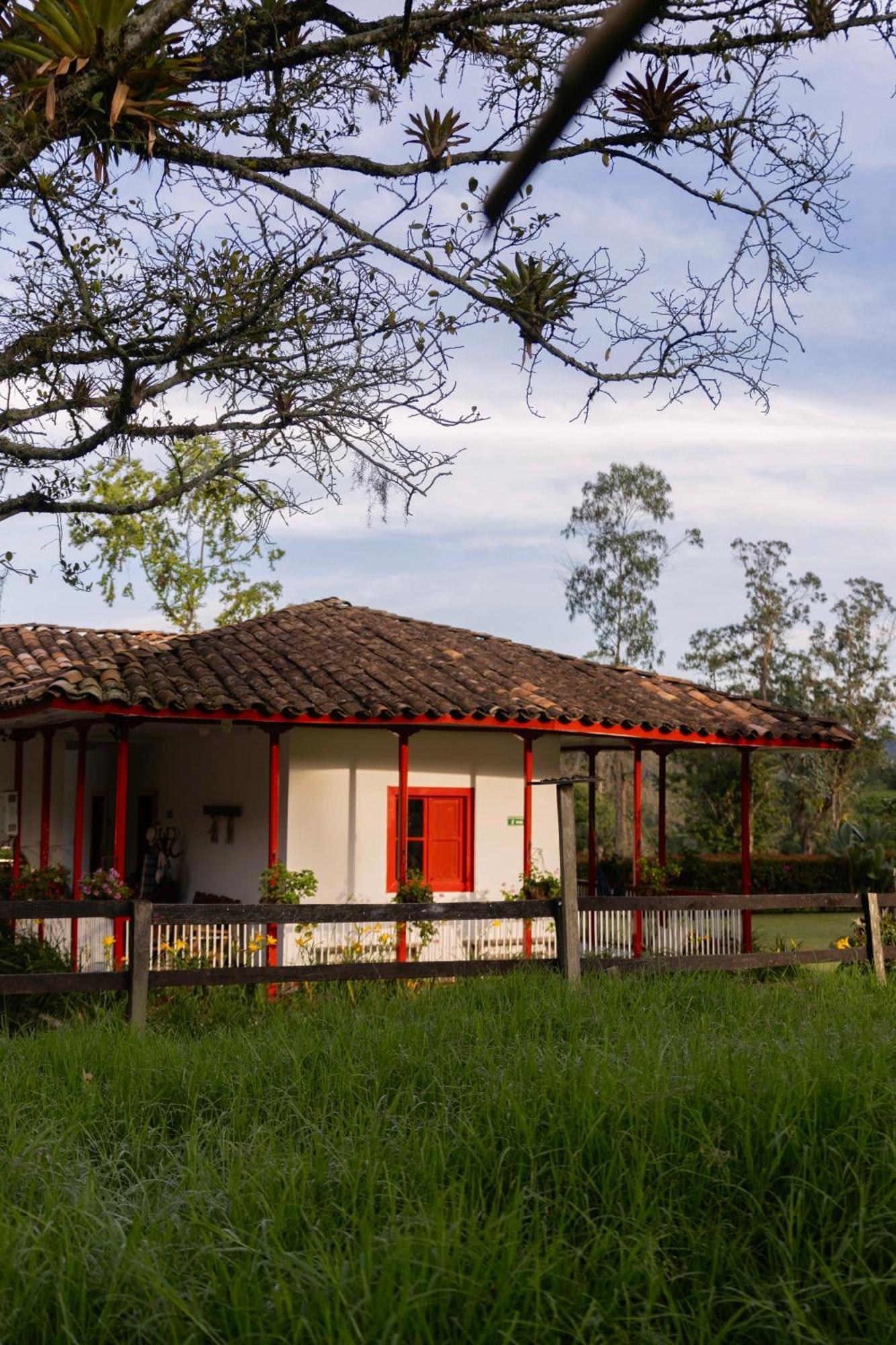La Cabana Ecohotel - Valle Del Cocora Salento Exteriör bild