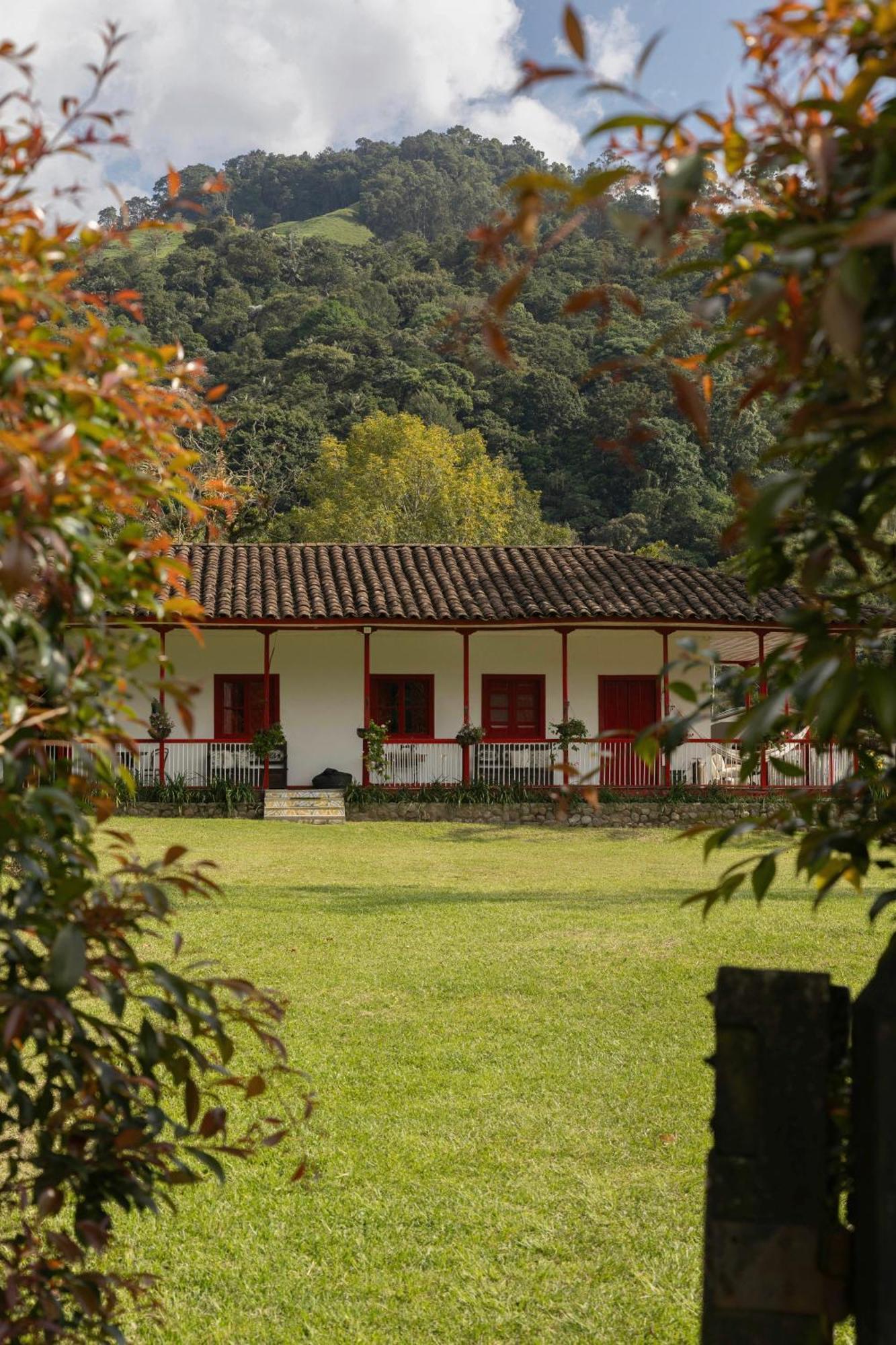 La Cabana Ecohotel - Valle Del Cocora Salento Exteriör bild