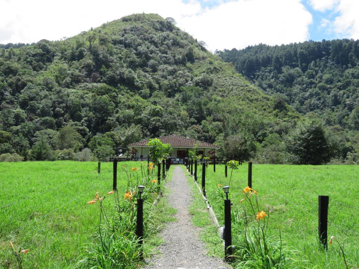 La Cabana Ecohotel - Valle Del Cocora Salento Exteriör bild
